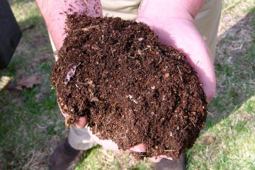 Vente de compost